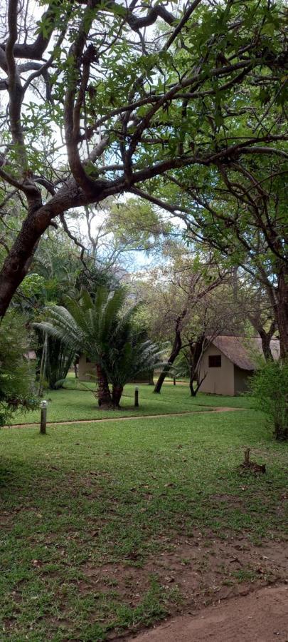 Shumba Safari Bush Camp Villa Hoedspruit Exterior photo